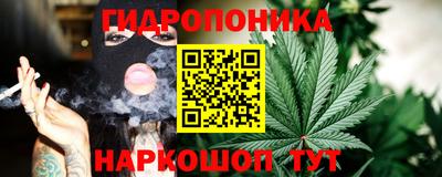 шишки Канаш