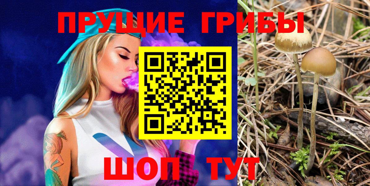 Псилоцибиновые грибы Psilocybine cubensis  Вход с VPN  Псилоцибиновые грибы ЛСД  Североуральск 