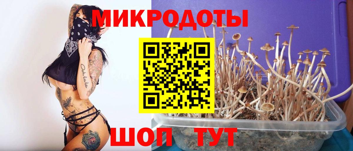 Галлюциногенные грибы ЛСД Североуральск