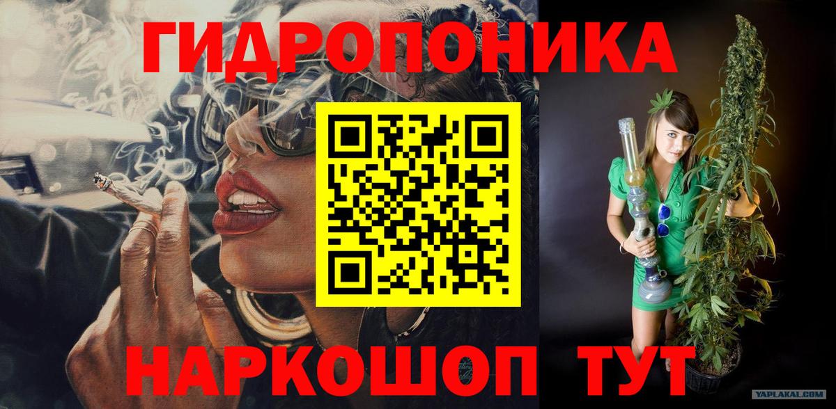 Шишки марихуана тримм  Канабис конопля  Бошки Шишки Bruce Banner  Североуральск  Вход с VPN  Конопля планчик 
